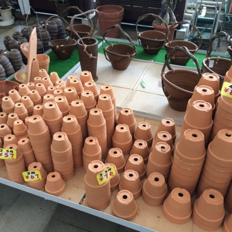 自家製ハーブティーの楽しみ方