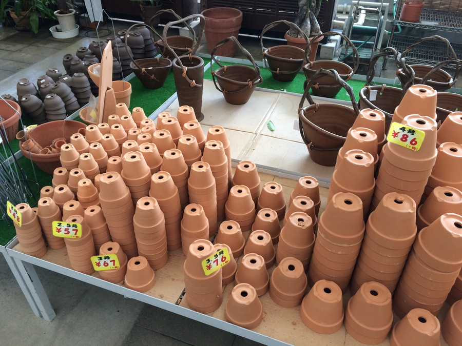 プランターで家庭菜園