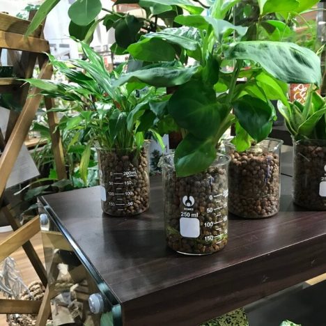 捨てないで！コーヒーかすや卵の殻を家庭菜園で再利用するアイデア